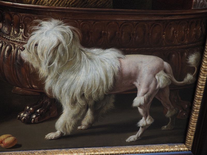 Might be a poodle in the painting