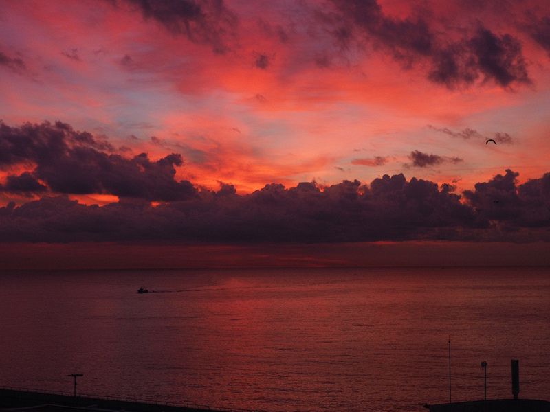 Gorgeous colors in the sky as we arrive in Barcelona