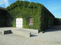 A vine covered building