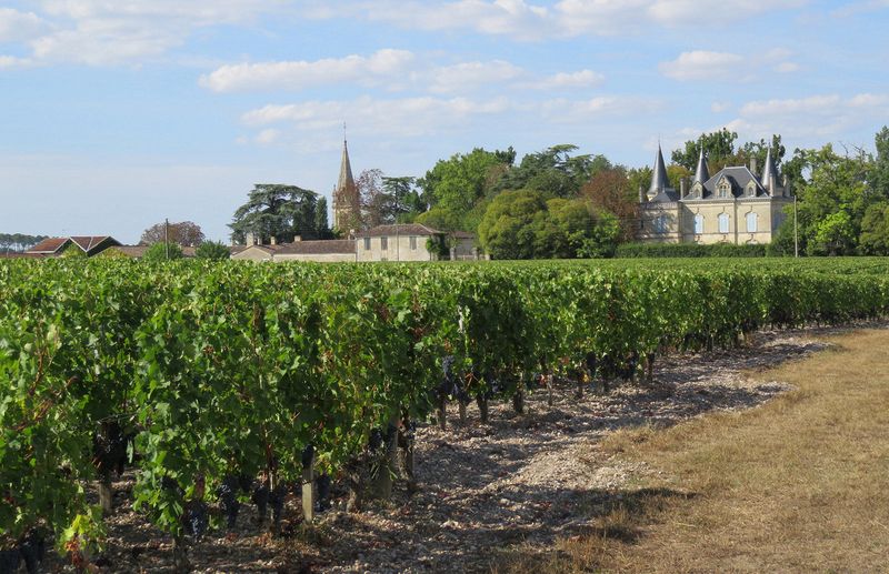 Grape vines and a chateau on the way to Martillac