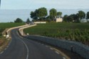 The road winds through the vineyards