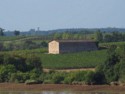 An old stone barn amongst the vineyards