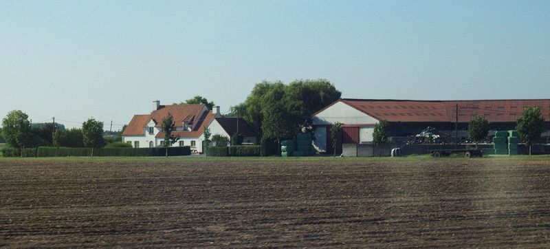 Typical farm on the way back to the ship