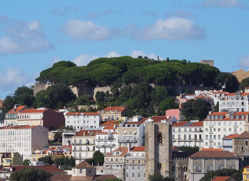 Castelo de S. Jorge is covered with trees