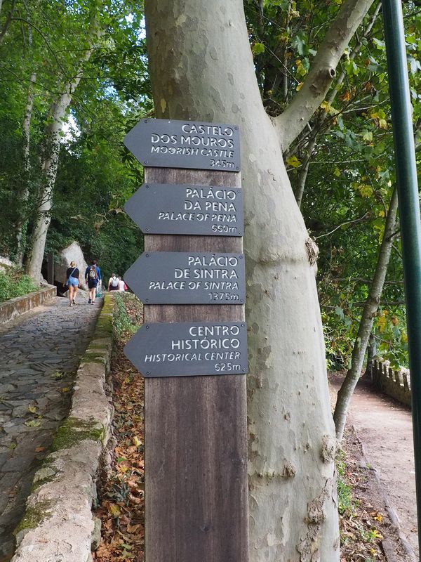 Pathway to the Moorish Castle (although we didn't actually get to go inside)