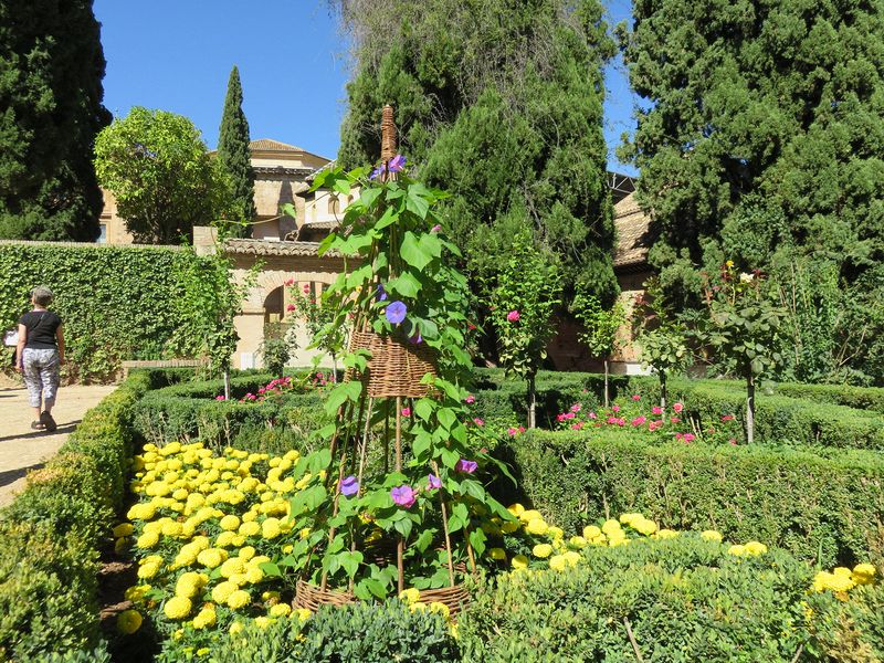 Flowers in the Partal Gardens