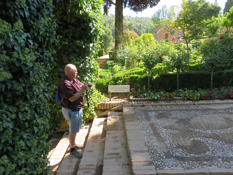 Pete takes a picture of the stone mosaic walkway