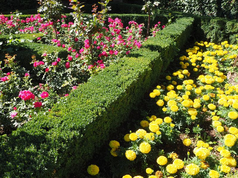 Roses and gardenias