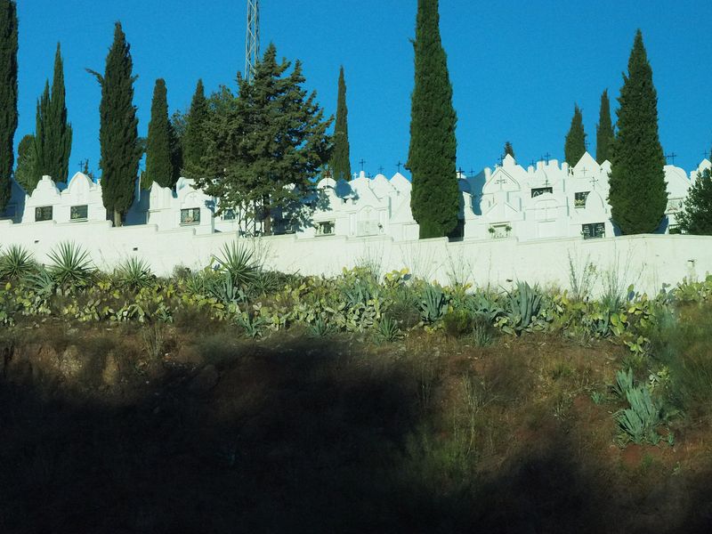 This cemetery looks like a village