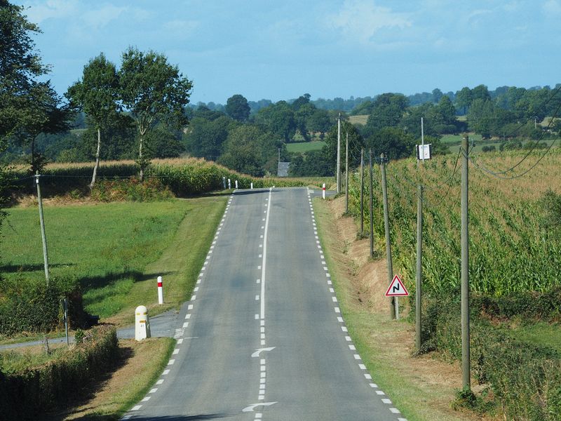 Corn fields