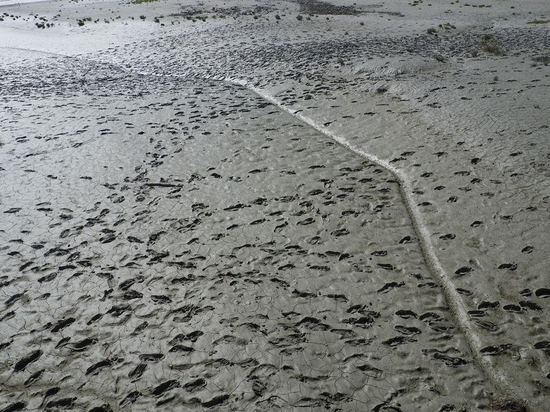 Footprints in the mud flats