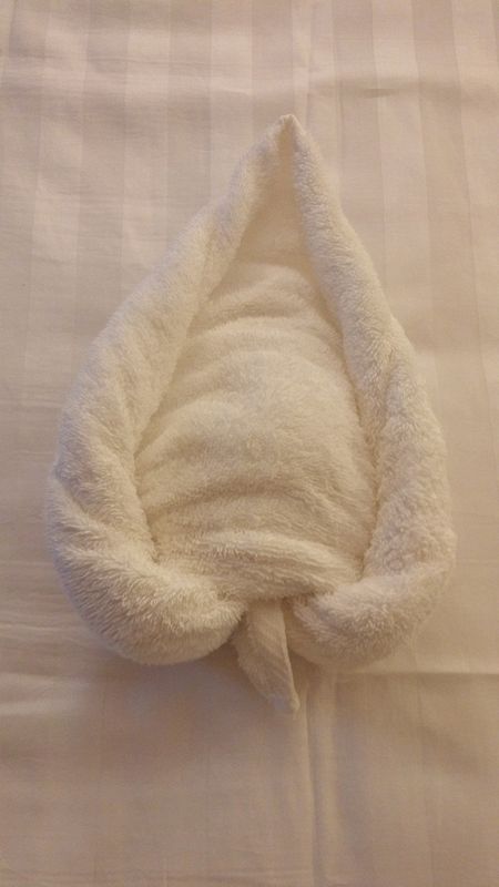 Sea turtle towel sculpture