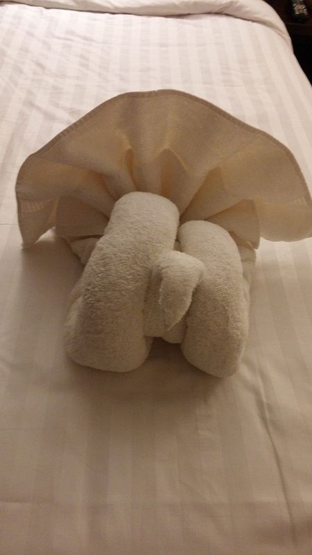 Turkey towel sculpture