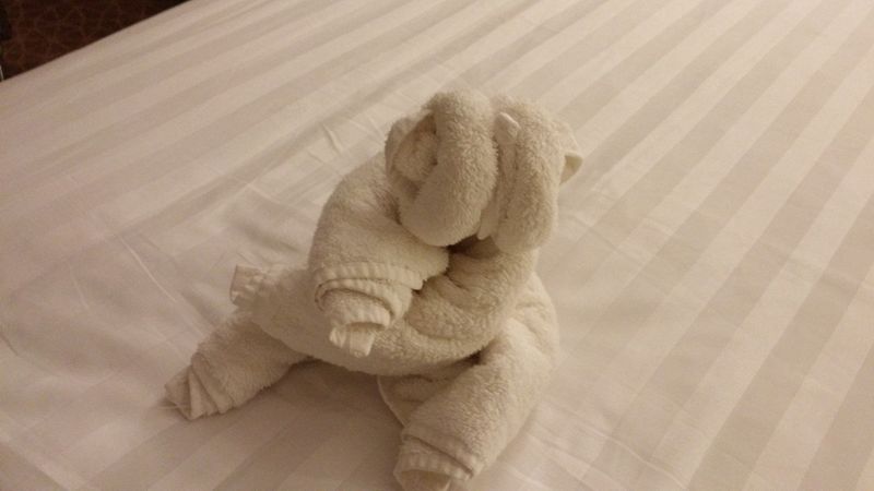 Walrus towel sculpture