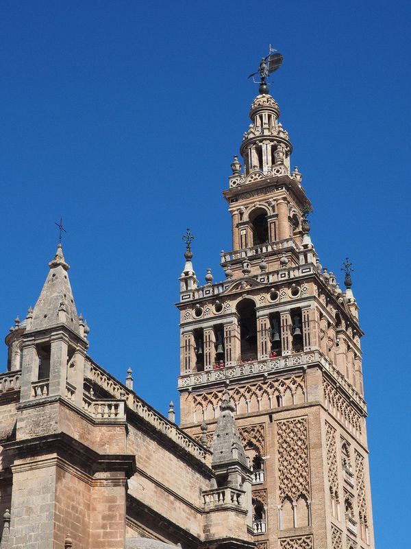 The cathedral bell tower