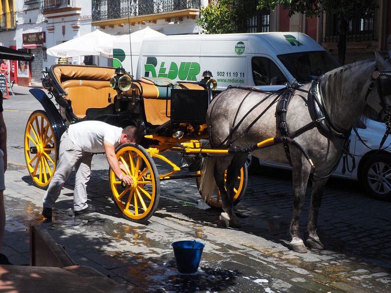 Washing the horsedrawn cart