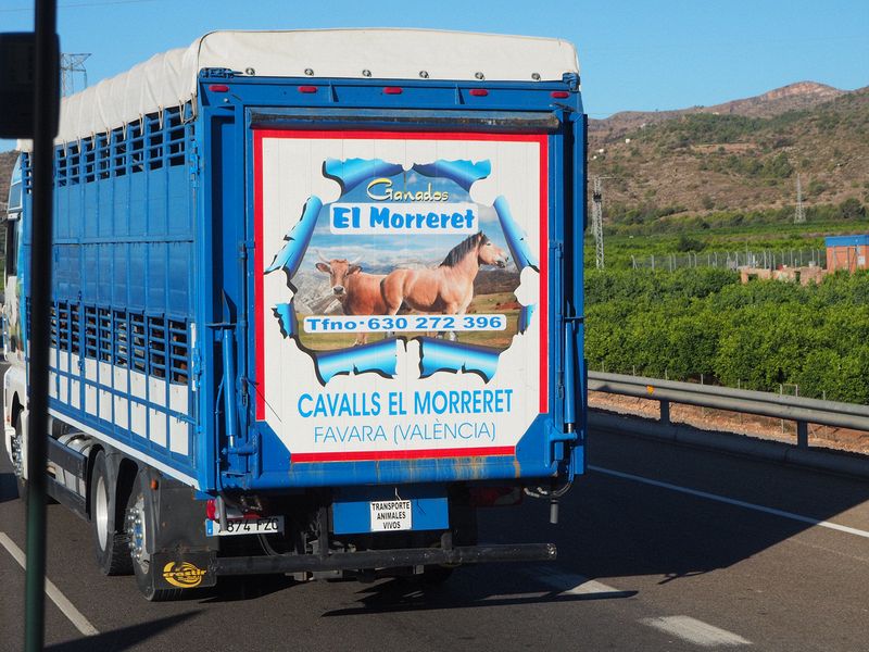 Colorful horse trailer