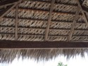 Thatching on a roof