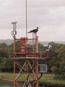 A sea bird perches on the antenna tower