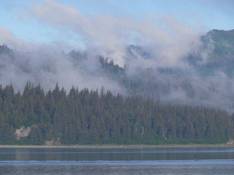 Mist covers the mountains as we enter Glacier Bay