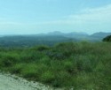 Scrub brush and mountains