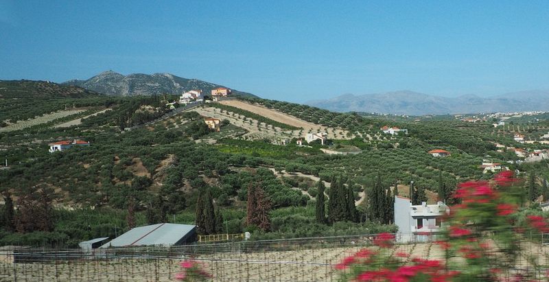 Cretan countryside as we drive to a winery