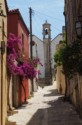 More bougainvillea and a bell tower