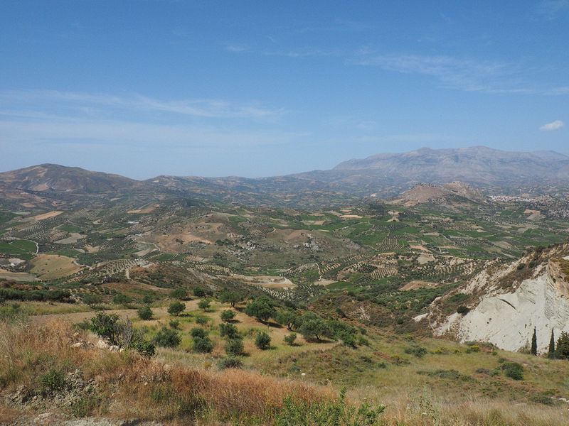 Olive groves and vineyards cover the hills for miles