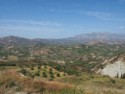 Olive groves and vineyards cover the hills for miles