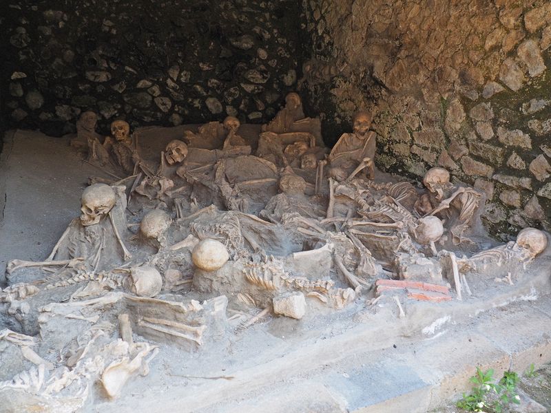 Some of the 300 skeletons of people waiting to evacuate