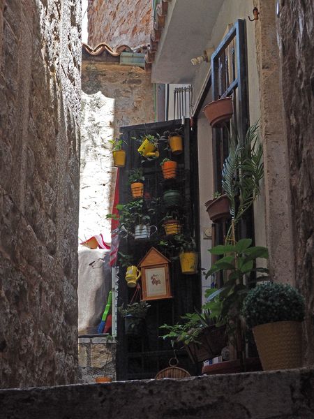 Watering cans as flower pots