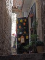 Watering cans as flower pots