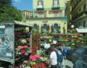 Flower market