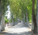 Yikes, there's another bus coming on this narrow road