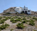 Church on a hillside above grape vines