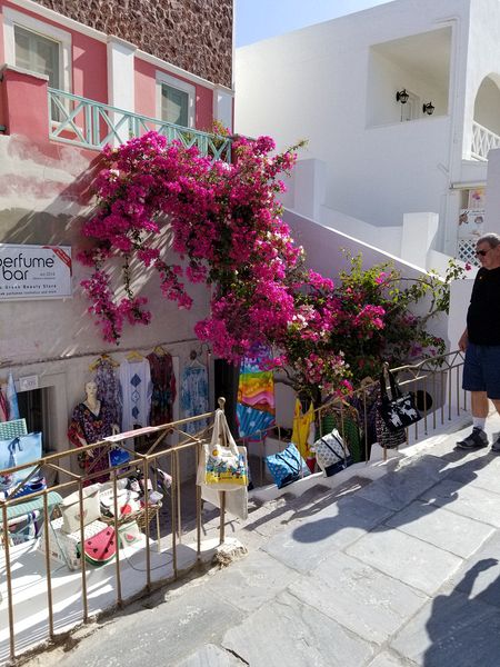 Store with bougainvillea