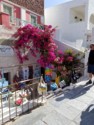 Store with bougainvillea