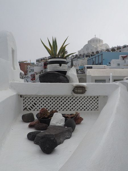 Decorative rocks and plant