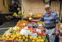 Sorrento lemon for limoncello