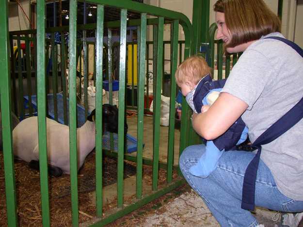 148-andrew and mommy at state fair with sheep