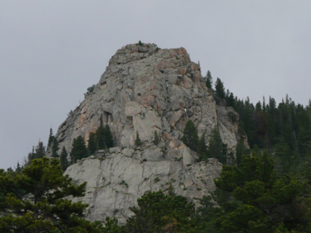 080a bighorn sheep mtn