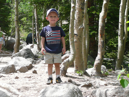 088 Nicholas near alberta falls