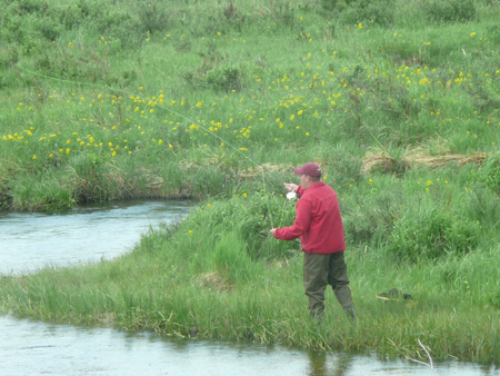 102 Dave fishing the fall river in Rocky Mtn Natl Park