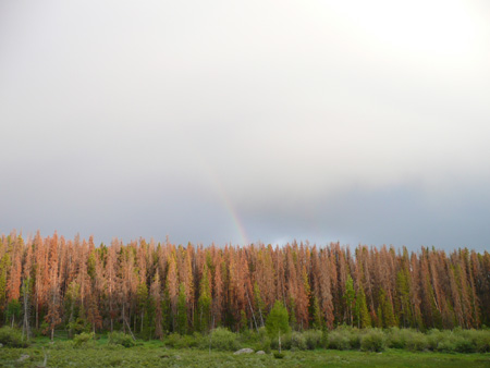 108 a faint rainbow