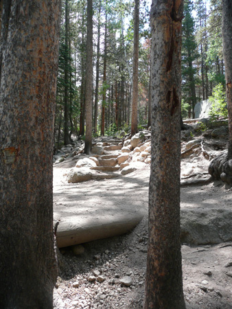 142 trail to upper copeland falls