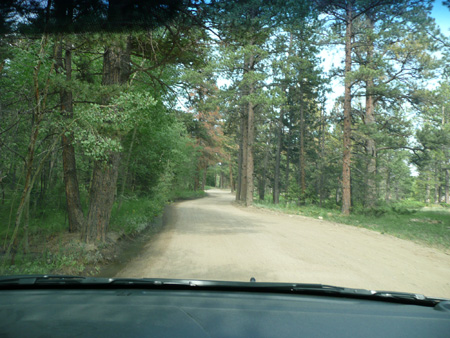 149 the road goes around the trees on one side