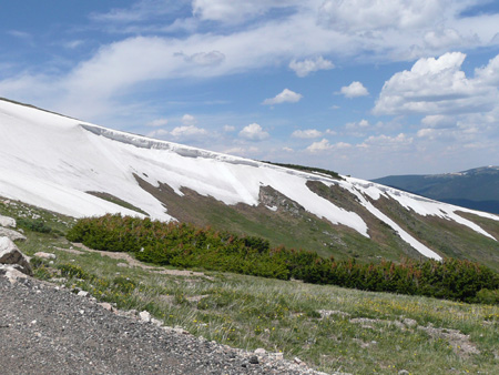 173 snowfield along fall river road