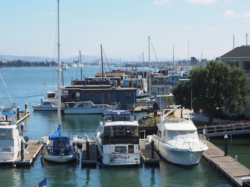 Boats docked in the Alameda estuary