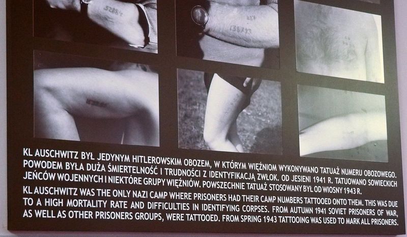 Aushwitz was the only camp to tattoo prisoners