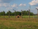 Electrified barbed wire fence